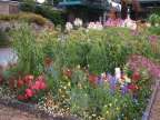 Garden Beds